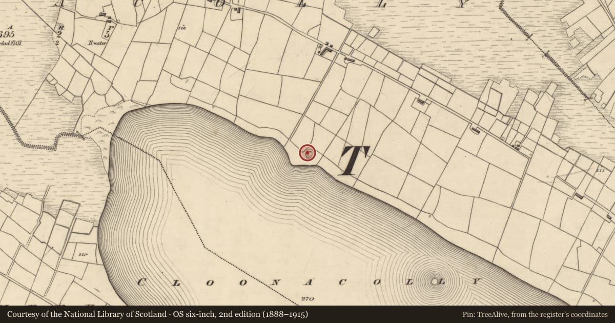 Ordnance Survey six-inch map, 2nd edition (1888–1915) covering the location of Mound, Cloonacolly, County Roscommon, with a pin at the register's coordinates