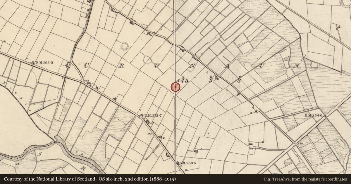 Ordnance Survey six-inch map, 2nd edition (1888–1915) covering the location of Ringfort - rath, Crunaun, County Roscommon, with a pin at the register's coordinates