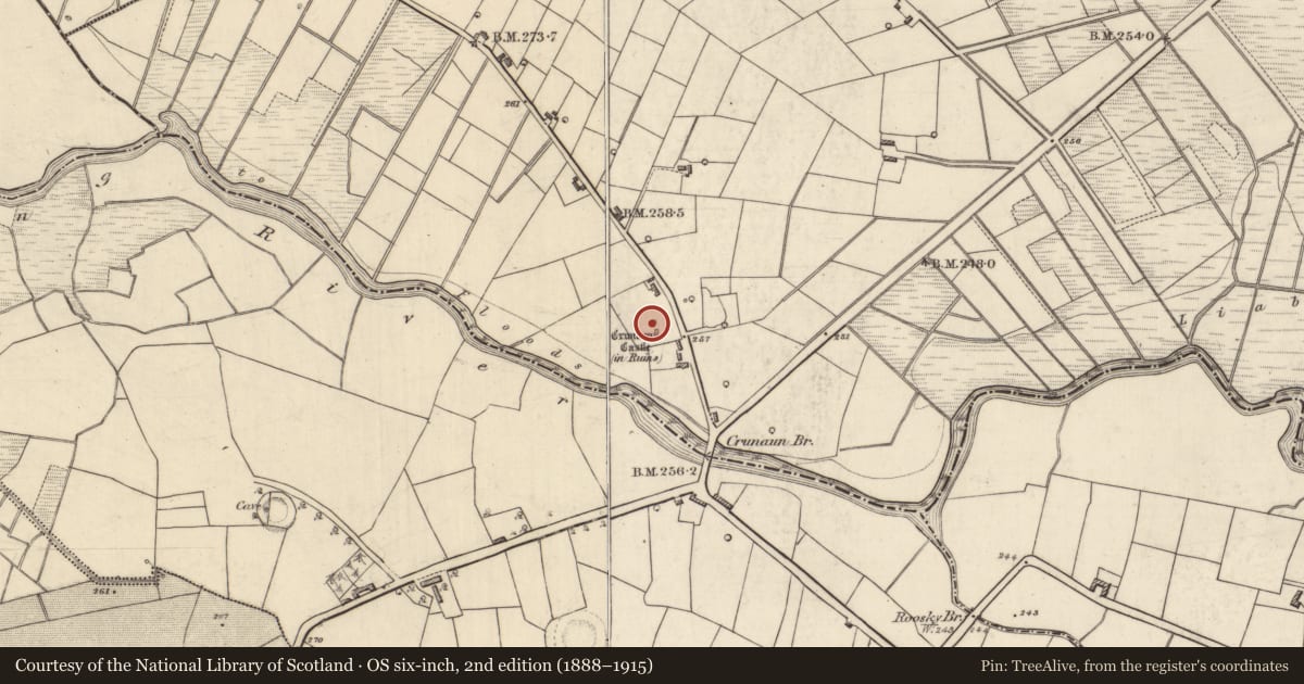 Ordnance Survey six-inch map, 2nd edition (1888–1915) covering the location of Castle - unclassified, Crunaun, County Roscommon, with a pin at the register's coordinates