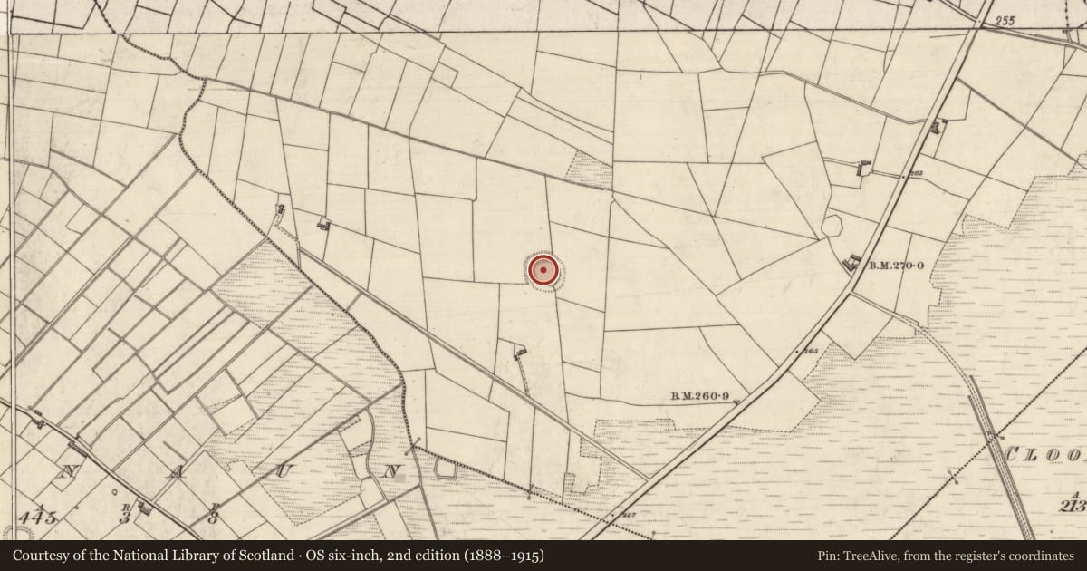 Ordnance Survey six-inch map, 2nd edition (1888–1915) covering the location of Ringfort - rath, Drumnalassan, County Roscommon, with a pin at the register's coordinates