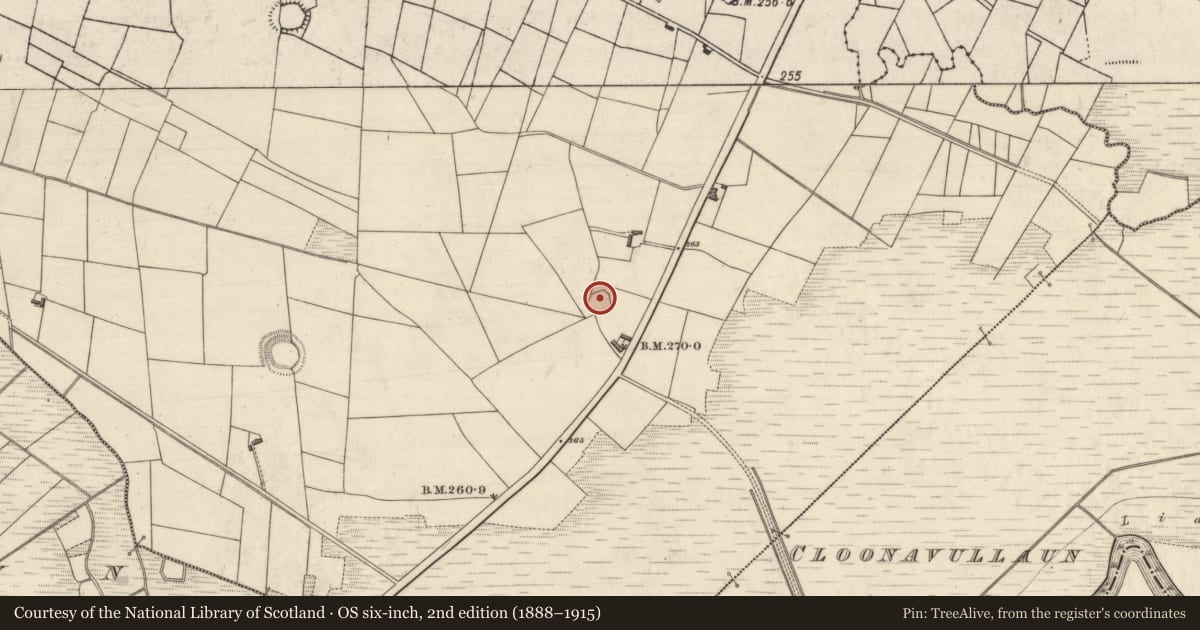 Ordnance Survey six-inch map, 2nd edition (1888–1915) covering the location of Ringfort - rath, Drumnalassan, County Roscommon, with a pin at the register's coordinates