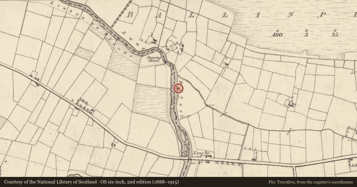 Ordnance Survey six-inch map, 2nd edition (1888–1915) covering the location of Moated site, Carrowgarve, County Roscommon, with a pin at the register's coordinates