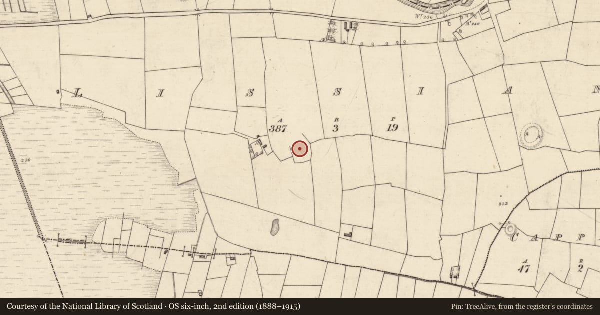 Ordnance Survey six-inch map, 2nd edition (1888–1915) covering the location of Ringfort - rath, Lissian, County Roscommon, with a pin at the register's coordinates