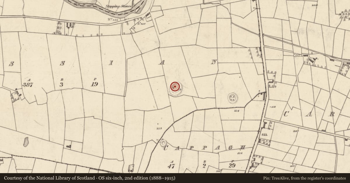 Ordnance Survey six-inch map, 2nd edition (1888–1915) covering the location of Ringfort - rath, Lissian, County Roscommon, with a pin at the register's coordinates