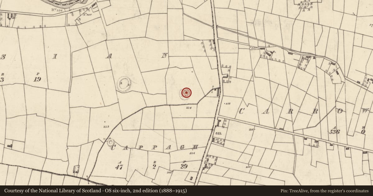 Ordnance Survey six-inch map, 2nd edition (1888–1915) covering the location of Ringfort - rath, Lissian, County Roscommon, with a pin at the register's coordinates