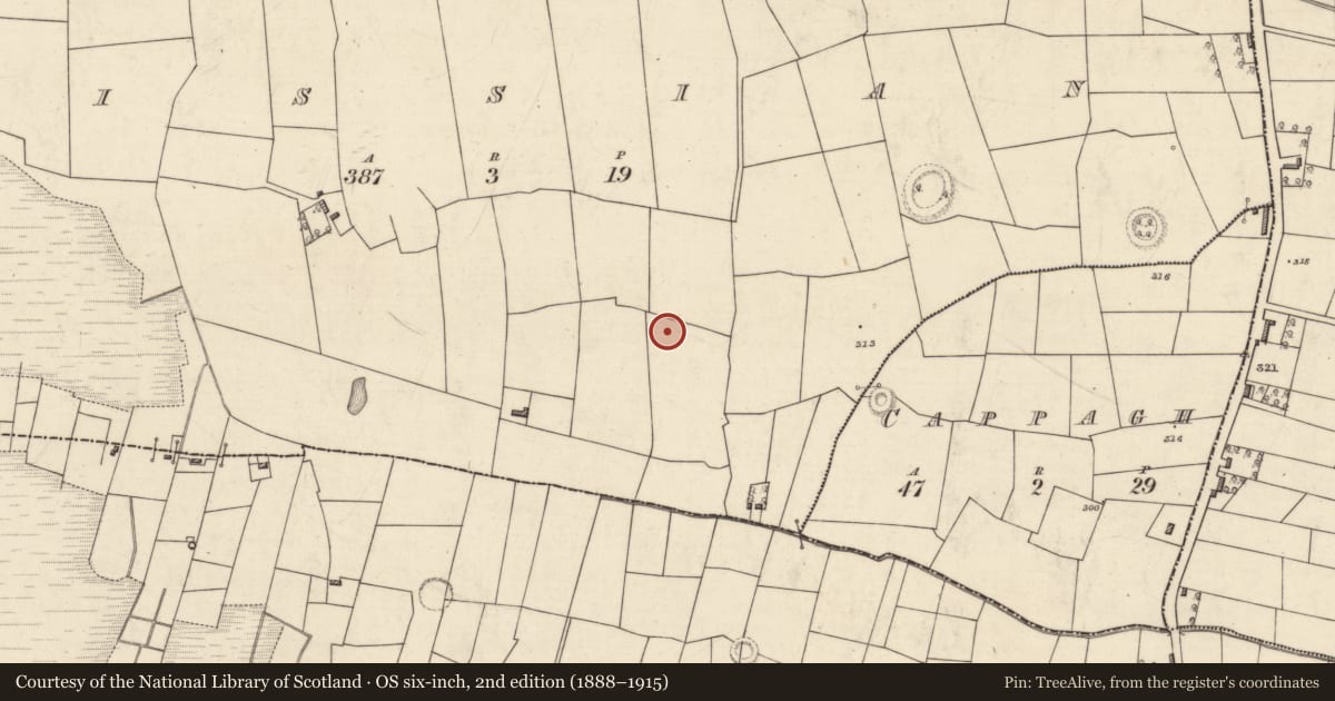Ordnance Survey six-inch map, 2nd edition (1888–1915) covering the location of Ringfort - rath, Lissian, County Roscommon, with a pin at the register's coordinates
