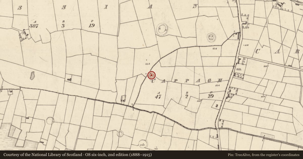 Ordnance Survey six-inch map, 2nd edition (1888–1915) covering the location of Ringfort - rath, Cappagh, County Roscommon, with a pin at the register's coordinates