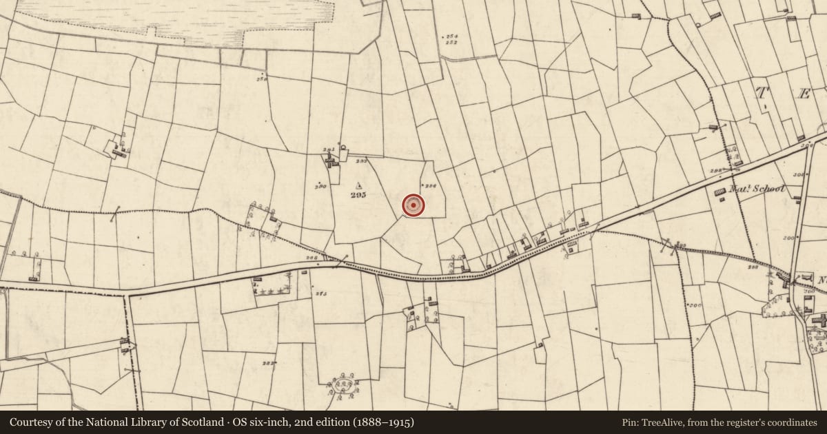 Ordnance Survey six-inch map, 2nd edition (1888–1915) covering the location of Ringfort - rath, Ballinphuill, County Roscommon, with a pin at the register's coordinates