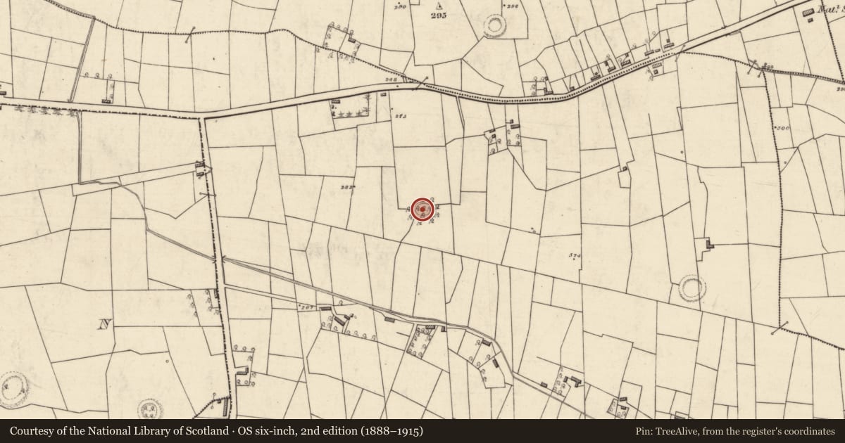 Ordnance Survey six-inch map, 2nd edition (1888–1915) covering the location of Ringfort - rath, Carrowgarve, County Roscommon, with a pin at the register's coordinates