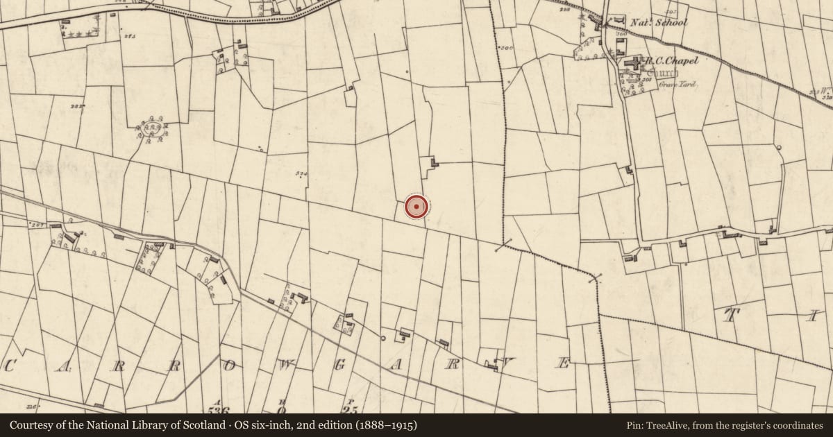 Ordnance Survey six-inch map, 2nd edition (1888–1915) covering the location of Ringfort - rath, Carrowgarve, County Roscommon, with a pin at the register's coordinates
