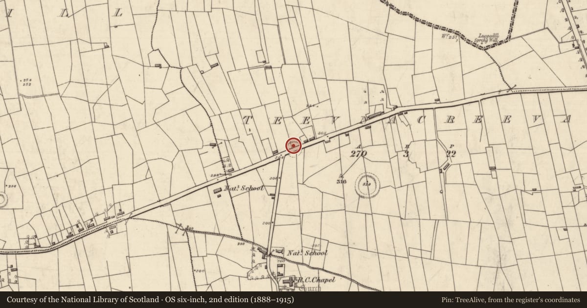 Ordnance Survey six-inch map, 2nd edition (1888–1915) covering the location of Ringfort - rath, Teevnacreeva, County Roscommon, with a pin at the register's coordinates