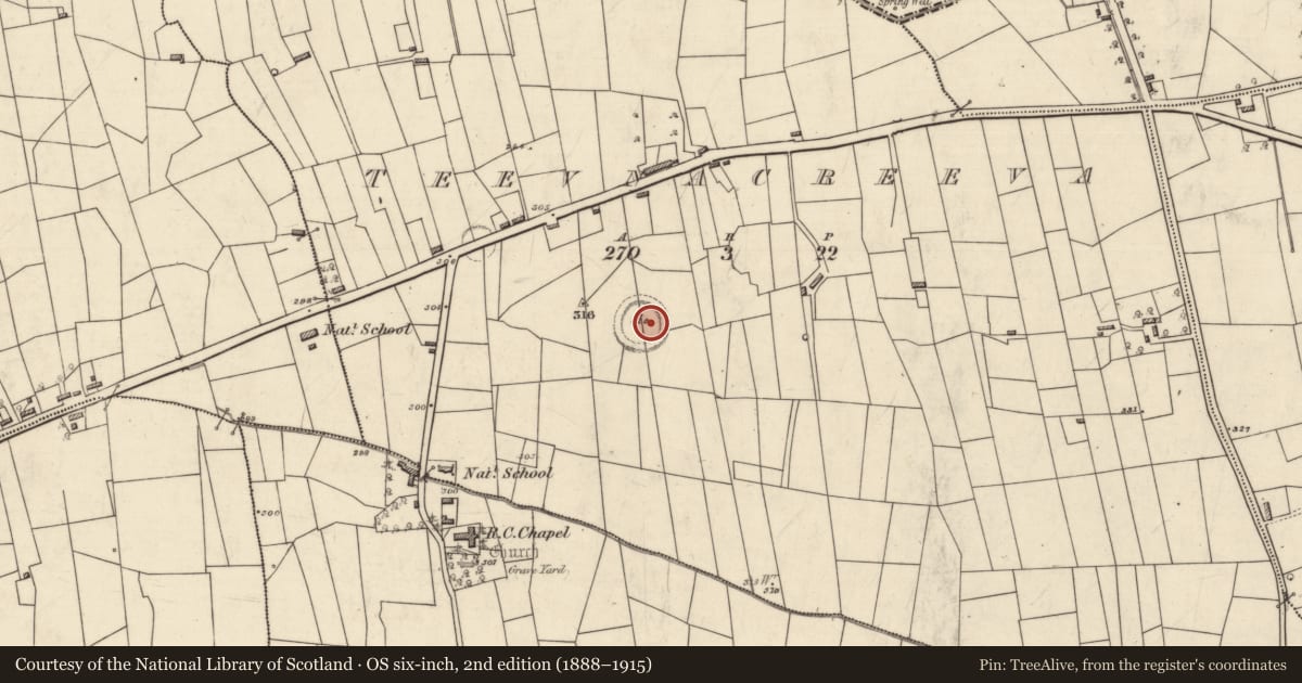 Ordnance Survey six-inch map, 2nd edition (1888–1915) covering the location of Ringfort - rath, Teevnacreeva, County Roscommon, with a pin at the register's coordinates