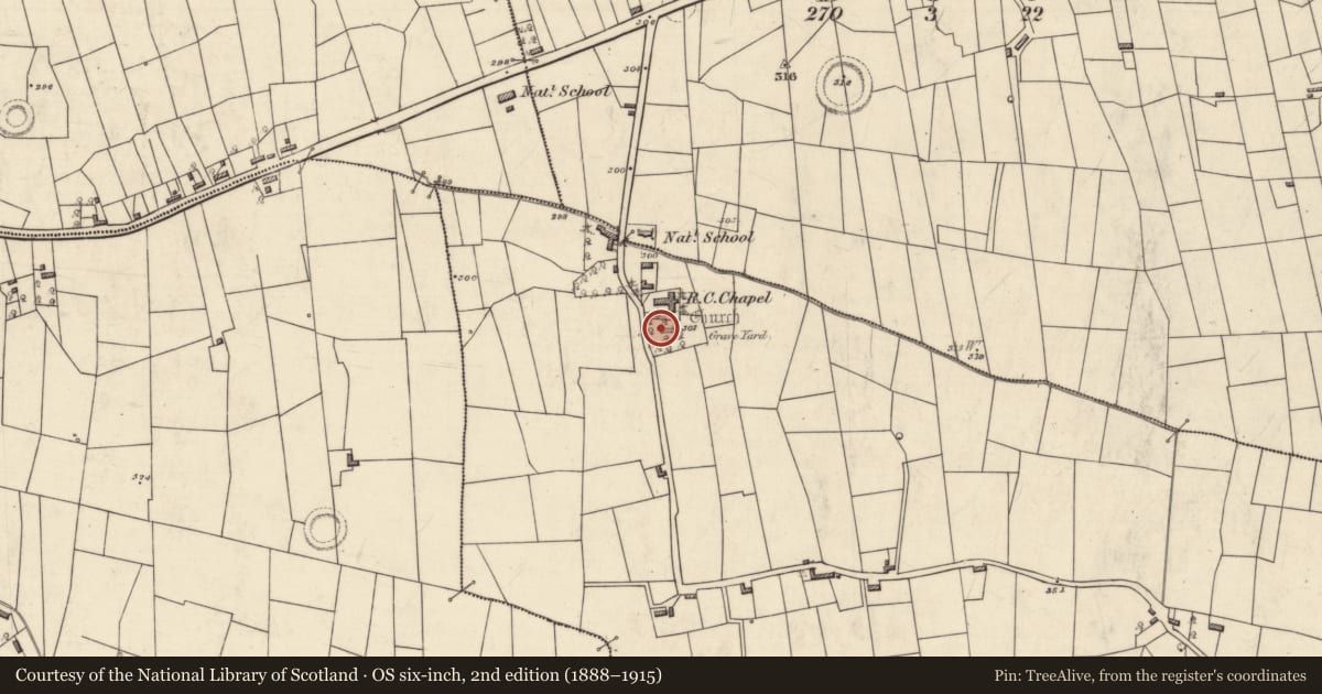 Ordnance Survey six-inch map, 2nd edition (1888–1915) covering the location of Church, Tibohine, County Roscommon, with a pin at the register's coordinates