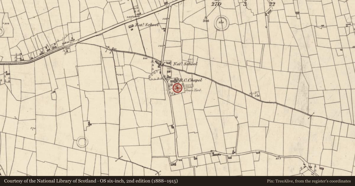 Ordnance Survey six-inch map, 2nd edition (1888–1915) covering the location of Graveyard, Tibohine, County Roscommon, with a pin at the register's coordinates