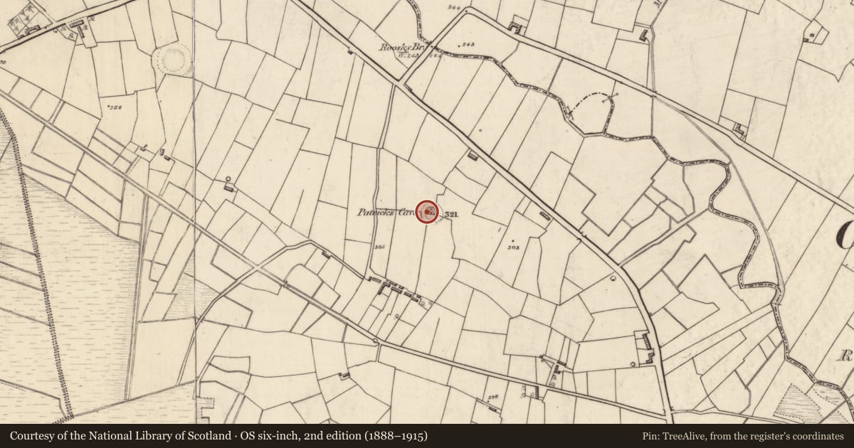 Ordnance Survey six-inch map, 2nd edition (1888–1915) covering the location of Ringfort - rath, Kiltybranks, County Roscommon, with a pin at the register's coordinates