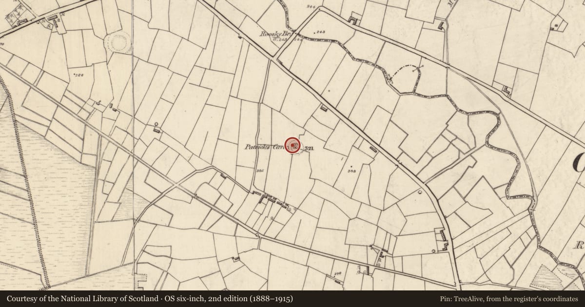 Ordnance Survey six-inch map, 2nd edition (1888–1915) covering the location of Penitential station, Kiltybranks, County Roscommon, with a pin at the register's coordinates