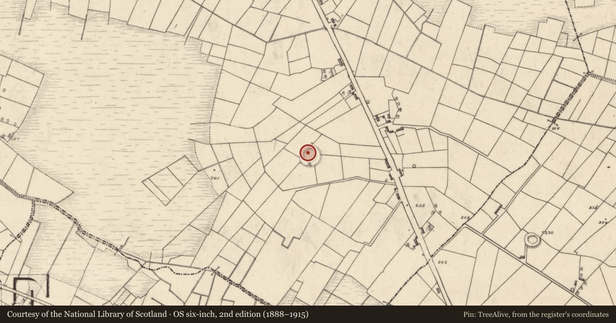 Ordnance Survey six-inch map, 2nd edition (1888–1915) covering the location of Ringfort - rath, Aghalustia, County Roscommon, with a pin at the register's coordinates