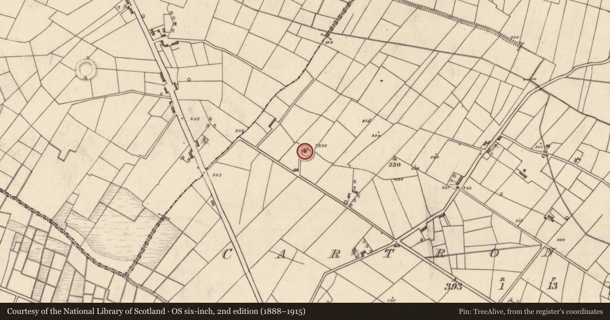 Ordnance Survey six-inch map, 2nd edition (1888–1915) covering the location of Ringfort - rath, Cartron More, County Roscommon, with a pin at the register's coordinates