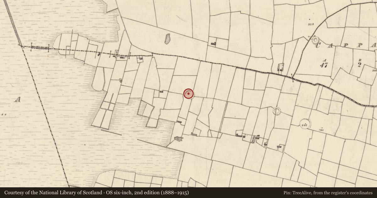 Ordnance Survey six-inch map, 2nd edition (1888–1915) covering the location of Ringfort - rath, Lissergool, County Roscommon, with a pin at the register's coordinates