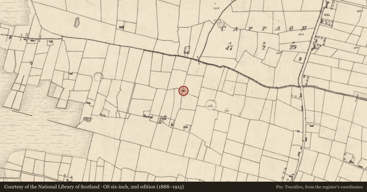 Ordnance Survey six-inch map, 2nd edition (1888–1915) covering the location of Ringfort - rath, Lissergool, County Roscommon, with a pin at the register's coordinates
