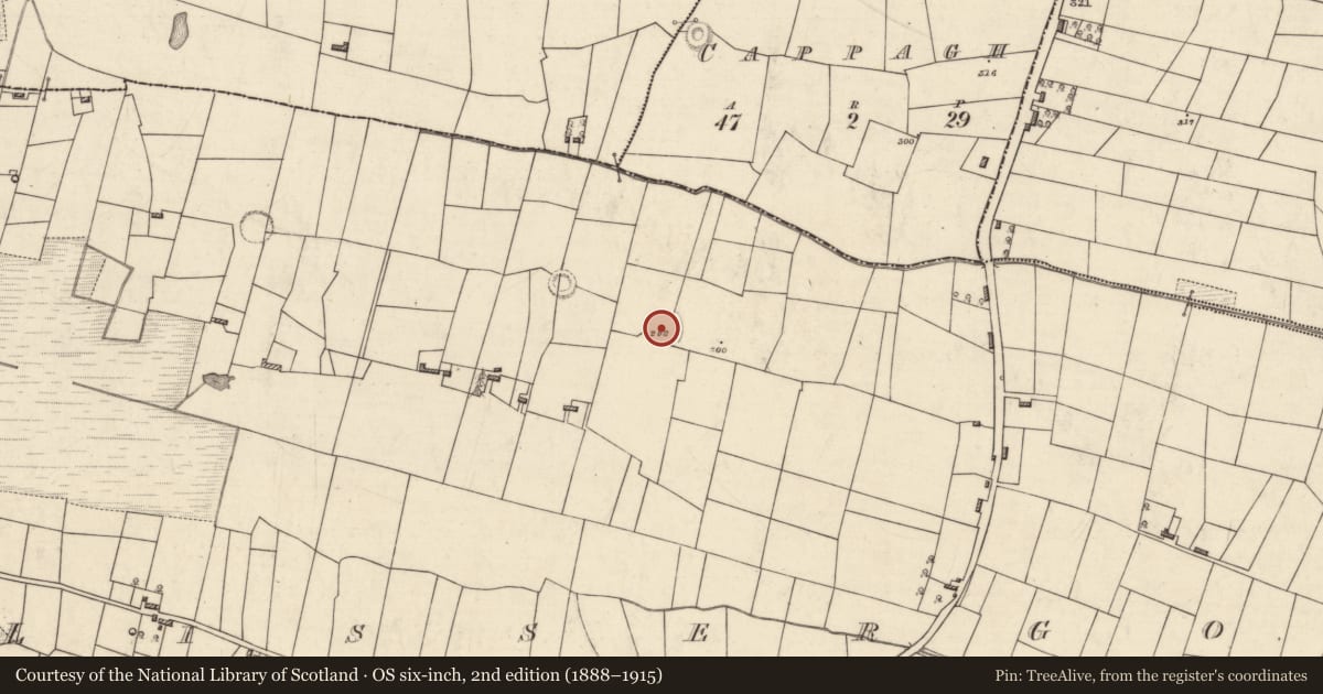 Ordnance Survey six-inch map, 2nd edition (1888–1915) covering the location of Ringfort - rath, Lissergool, County Roscommon, with a pin at the register's coordinates