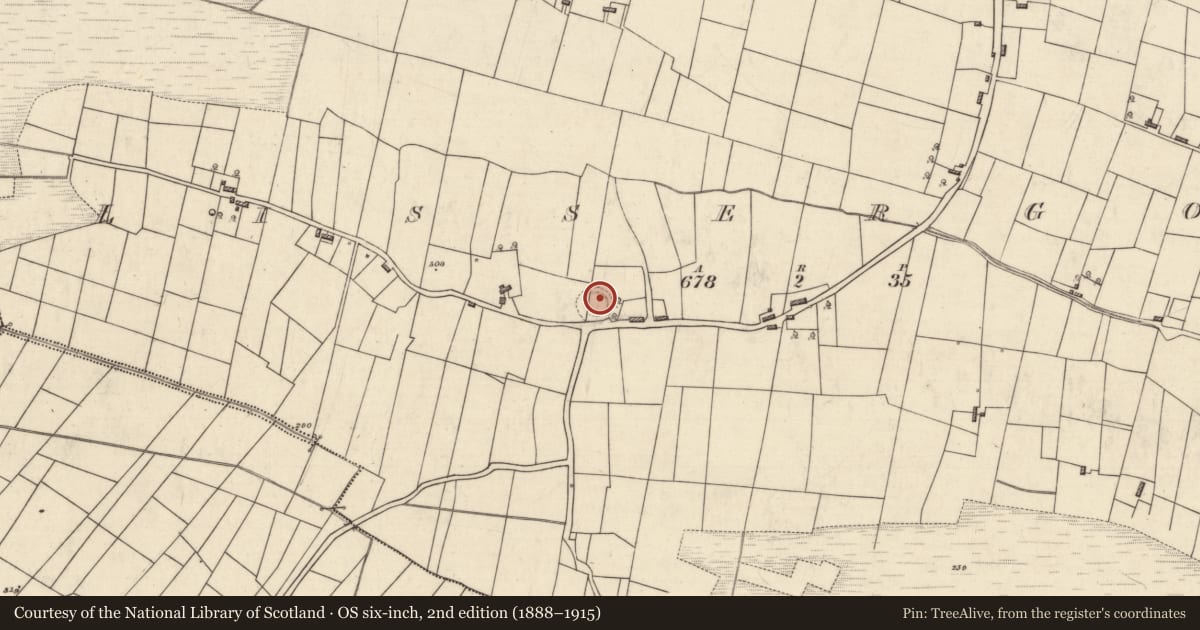 Ordnance Survey six-inch map, 2nd edition (1888–1915) covering the location of Ringfort - rath, Lissergool, County Roscommon, with a pin at the register's coordinates
