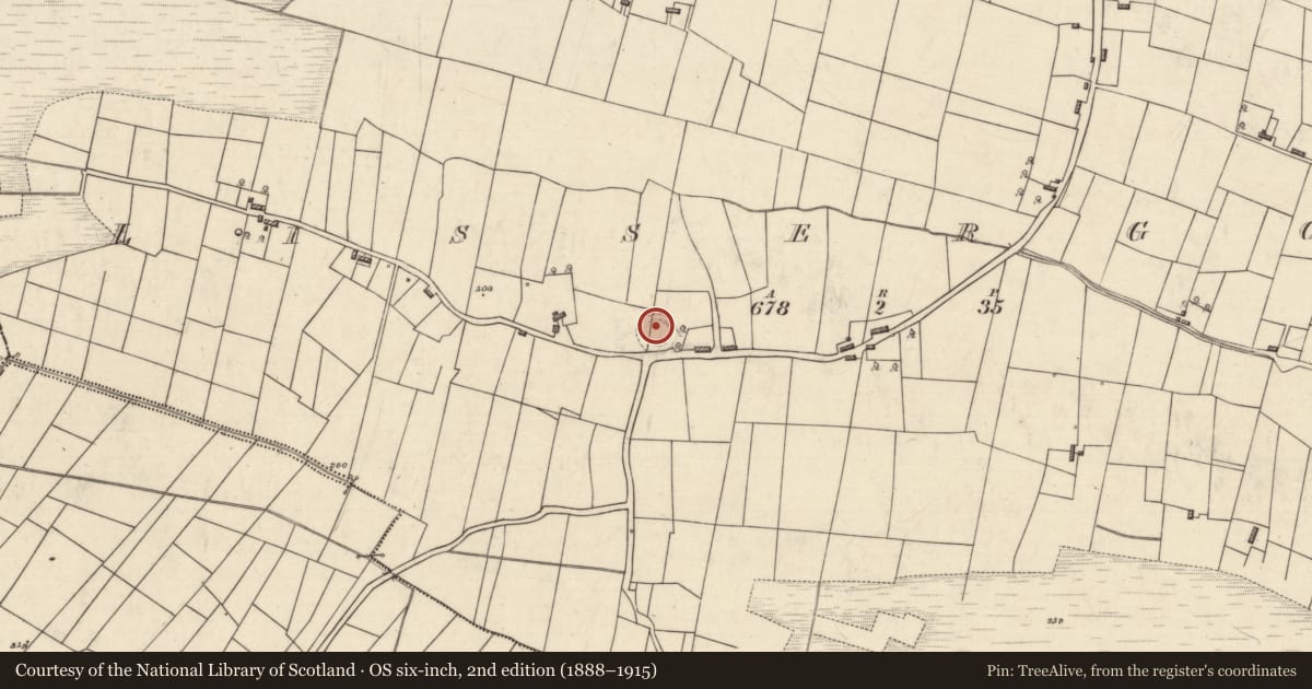 Ordnance Survey six-inch map, 2nd edition (1888–1915) covering the location of House - indeterminate date, Lissergool, County Roscommon, with a pin at the register's coordinates