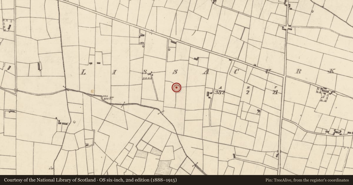 Ordnance Survey six-inch map, 2nd edition (1888–1915) covering the location of Ringfort - rath, Lissacurkia, County Roscommon, with a pin at the register's coordinates