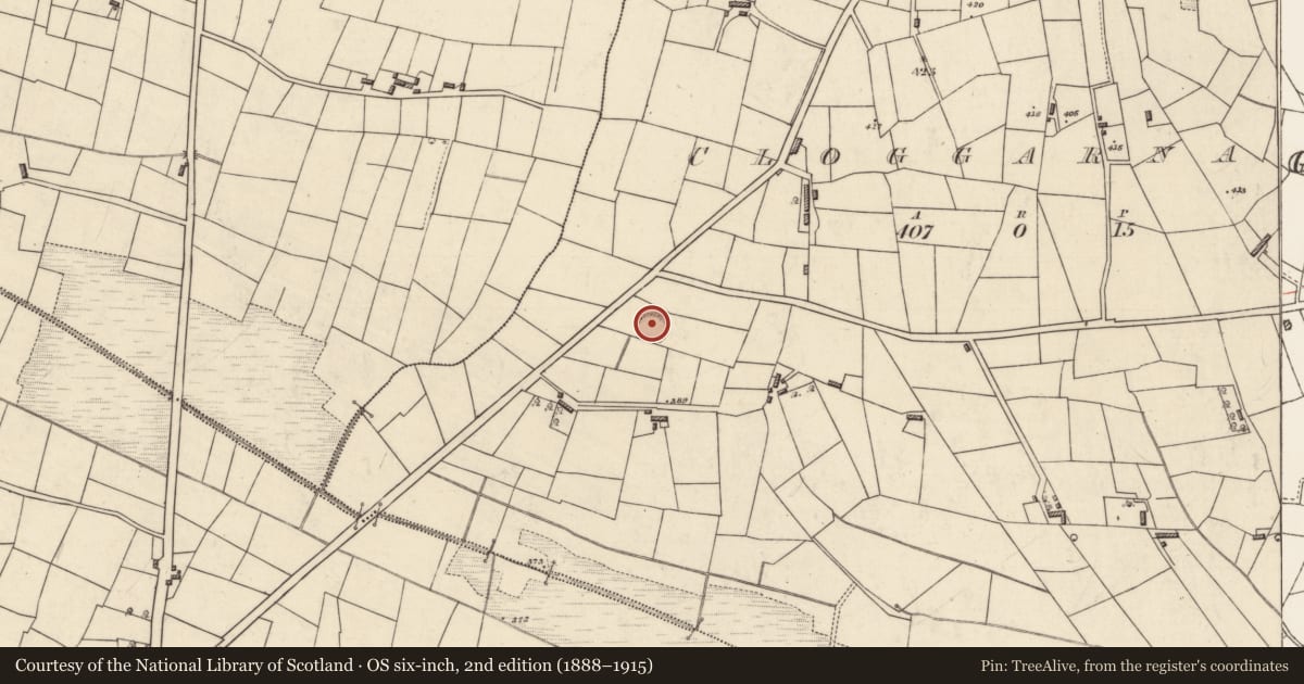 Ordnance Survey six-inch map, 2nd edition (1888–1915) covering the location of Ringfort - rath, Cloggarnagh, County Roscommon, with a pin at the register's coordinates