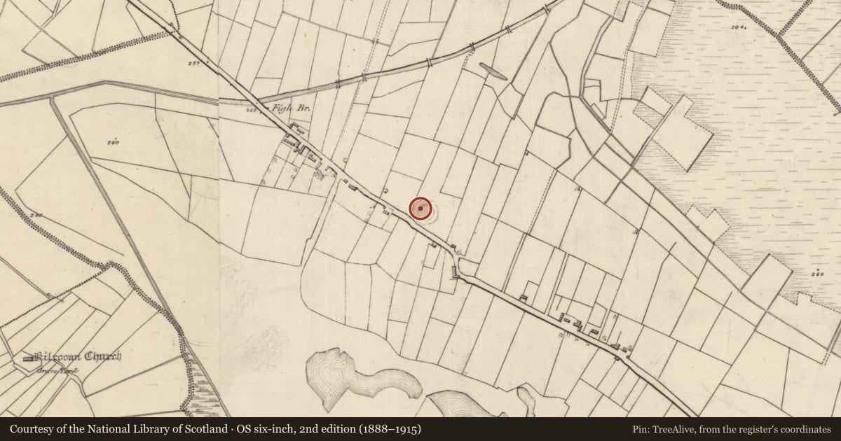 Ordnance Survey six-inch map, 2nd edition (1888–1915) covering the location of Ringfort - rath, Figh, County Roscommon, with a pin at the register's coordinates