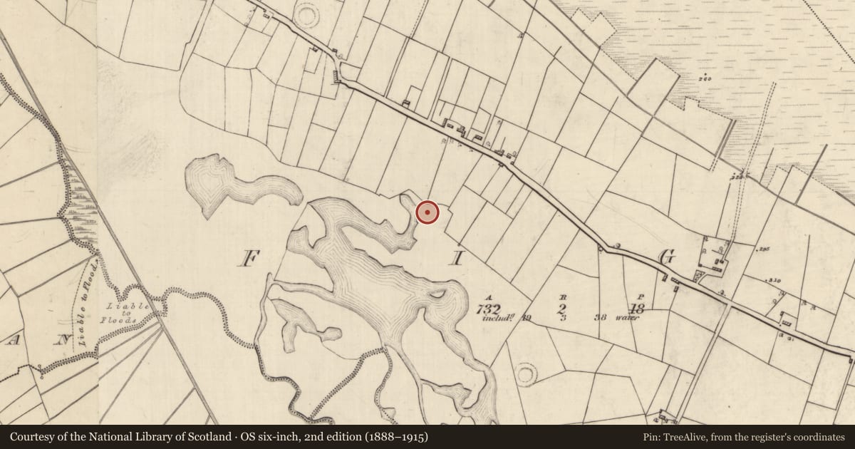 Ordnance Survey six-inch map, 2nd edition (1888–1915) covering the location of Moated site, Figh, County Roscommon, with a pin at the register's coordinates