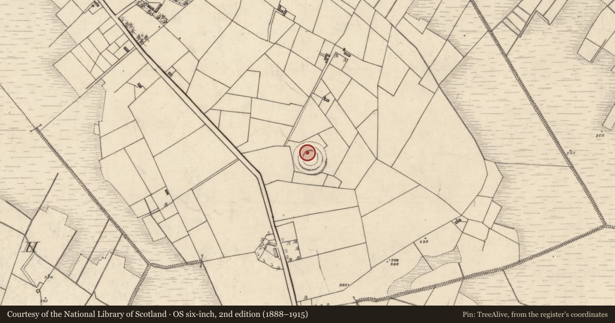 Ordnance Survey six-inch map, 2nd edition (1888–1915) covering the location of Ringfort - rath, Aghadrestan, County Roscommon, with a pin at the register's coordinates