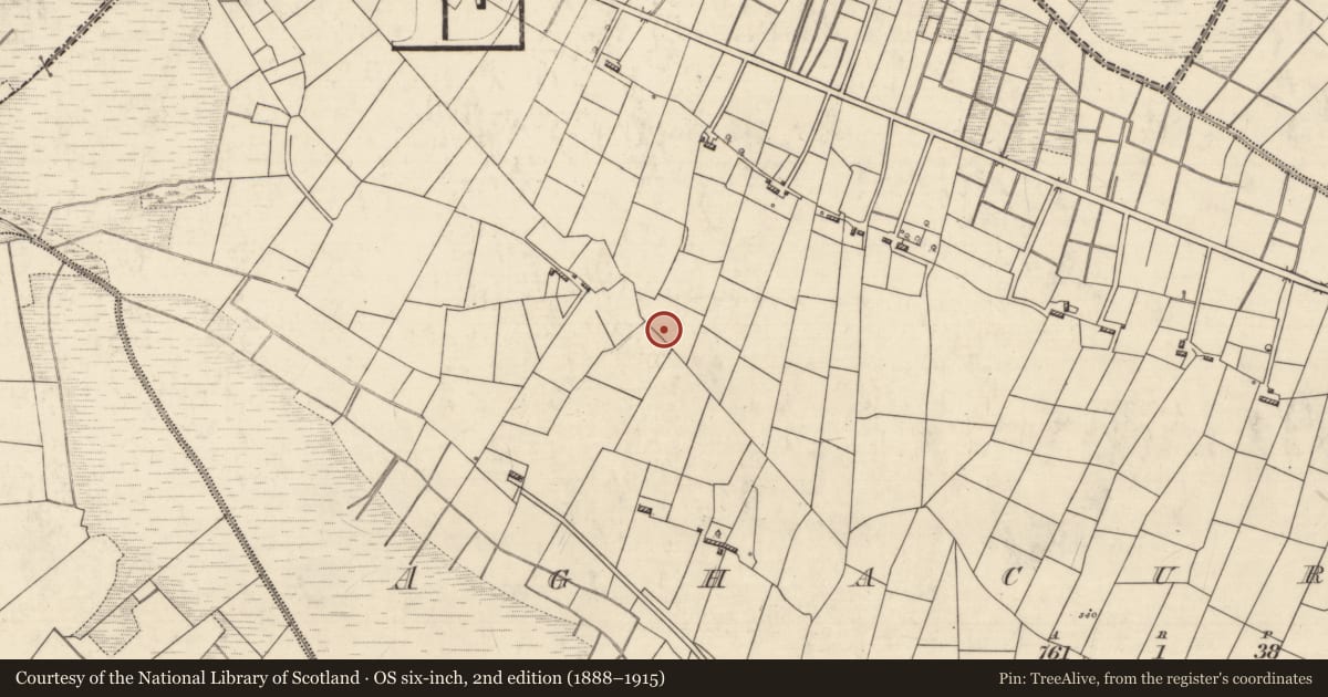 Ordnance Survey six-inch map, 2nd edition (1888–1915) covering the location of Ringfort - rath, Aghacurreen, County Roscommon, with a pin at the register's coordinates
