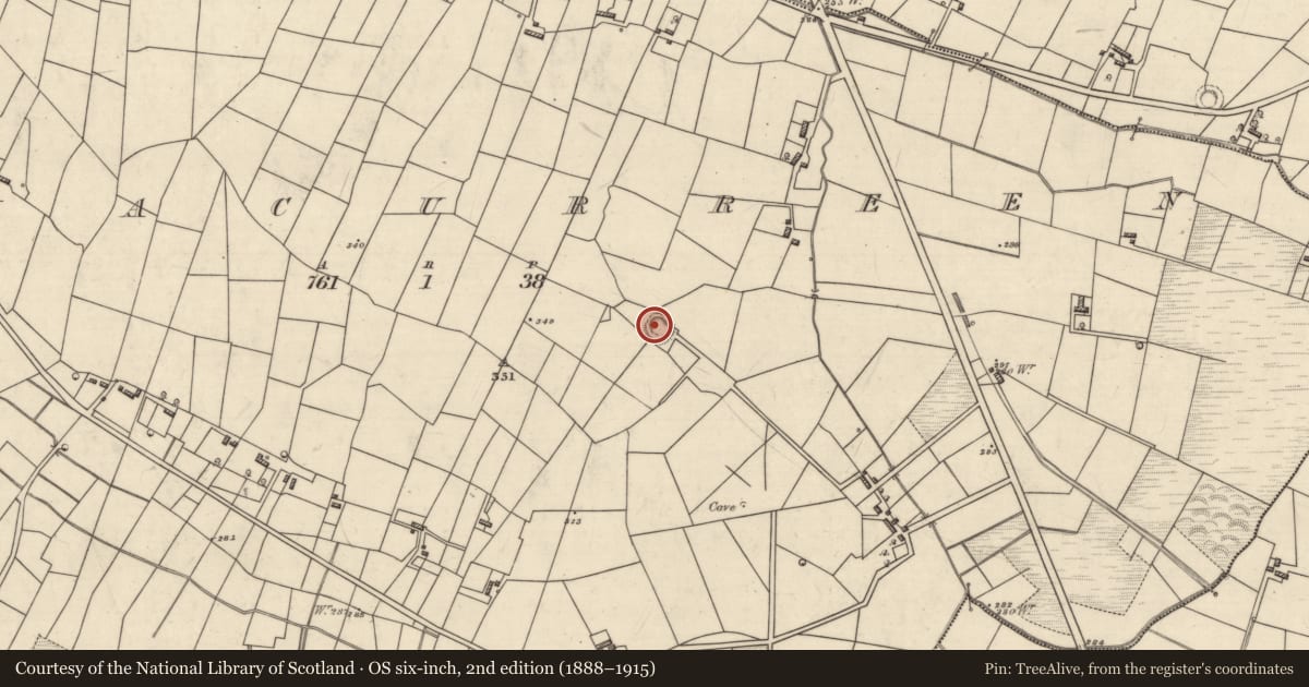 Ordnance Survey six-inch map, 2nd edition (1888–1915) covering the location of Ringfort - rath, Aghacurreen, County Roscommon, with a pin at the register's coordinates