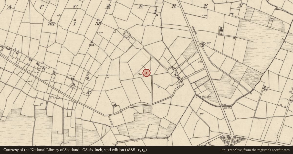 Ordnance Survey six-inch map, 2nd edition (1888–1915) covering the location of Ringfort - cashel, Aghacurreen, County Roscommon, with a pin at the register's coordinates