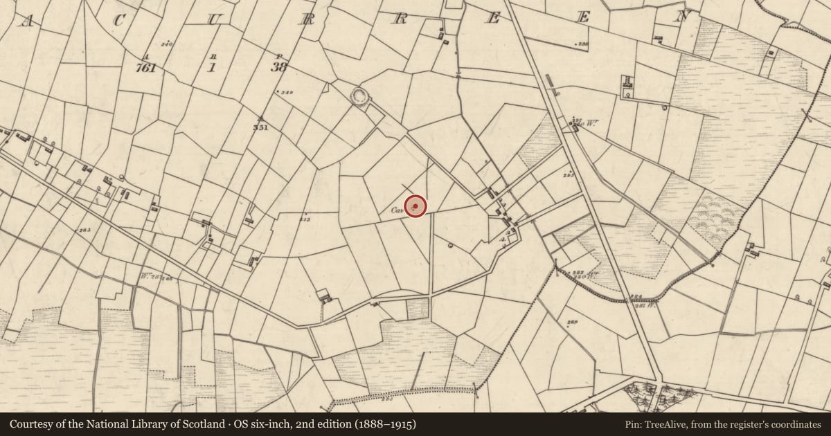 Ordnance Survey six-inch map, 2nd edition (1888–1915) covering the location of Souterrain, Aghacurreen, County Roscommon, with a pin at the register's coordinates