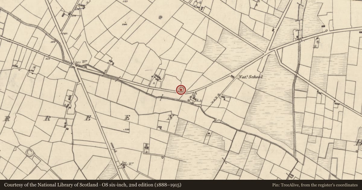 Ordnance Survey six-inch map, 2nd edition (1888–1915) covering the location of Ringfort - rath, Cartron More, County Roscommon, with a pin at the register's coordinates