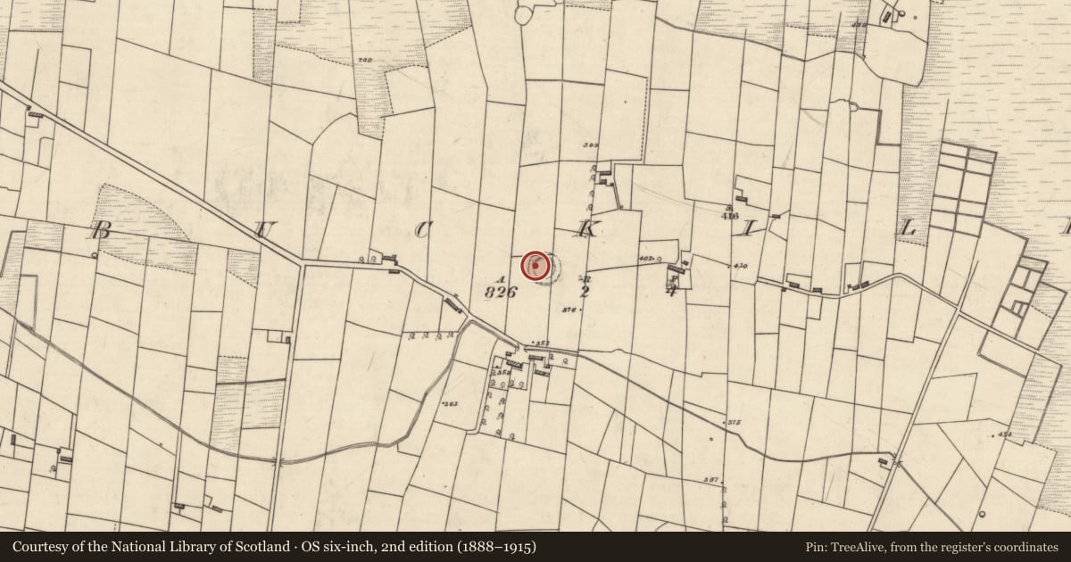Ordnance Survey six-inch map, 2nd edition (1888–1915) covering the location of Ringfort - rath, Buckill, County Roscommon, with a pin at the register's coordinates