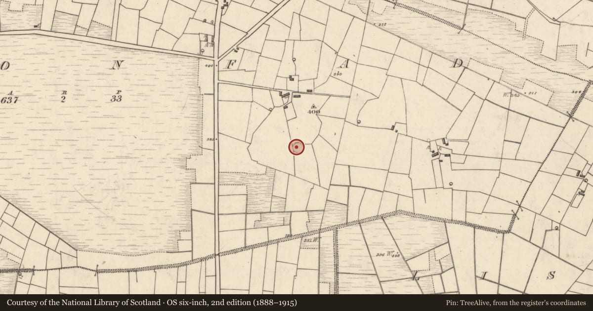 Ordnance Survey six-inch map, 2nd edition (1888–1915) covering the location of Ringfort - rath, Cloonfad, County Roscommon, with a pin at the register's coordinates