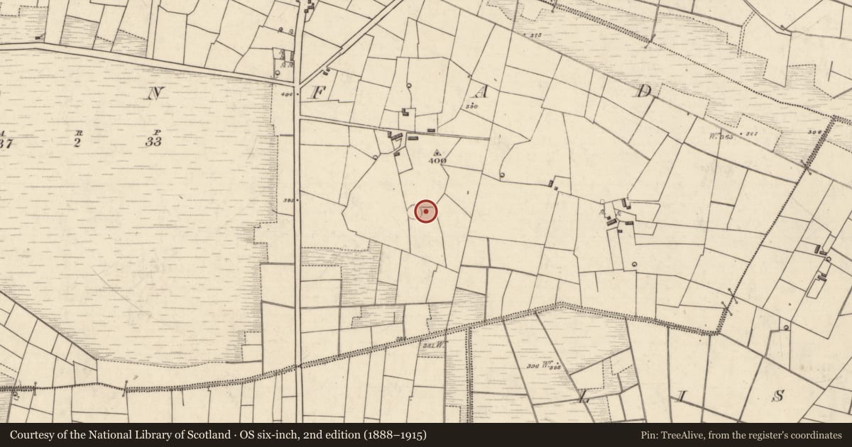 Ordnance Survey six-inch map, 2nd edition (1888–1915) covering the location of Enclosure, Cloonfad, County Roscommon, with a pin at the register's coordinates