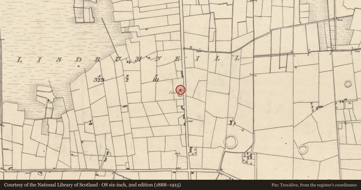 Ordnance Survey six-inch map, 2nd edition (1888–1915) covering the location of Ringfort - rath, Lisdrumneill, County Roscommon, with a pin at the register's coordinates