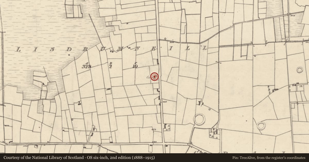 Ordnance Survey six-inch map, 2nd edition (1888–1915) covering the location of Souterrain, Lisdrumneill, County Roscommon, with a pin at the register's coordinates