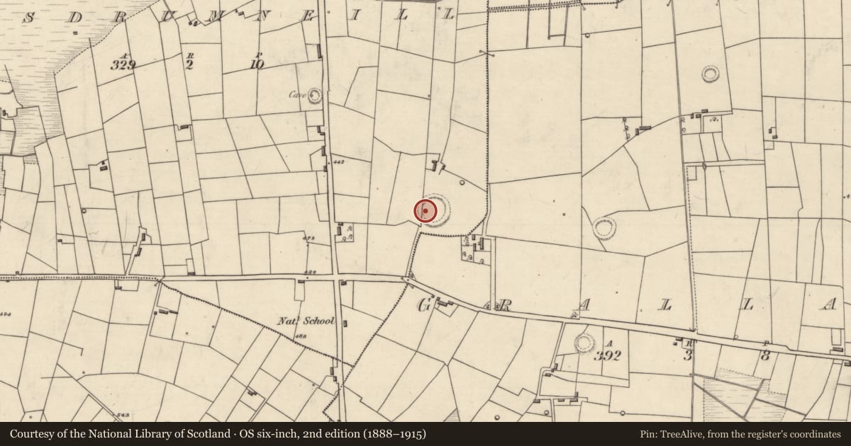 Ordnance Survey six-inch map, 2nd edition (1888–1915) covering the location of Ringfort - rath, Lisdrumneill, County Roscommon, with a pin at the register's coordinates