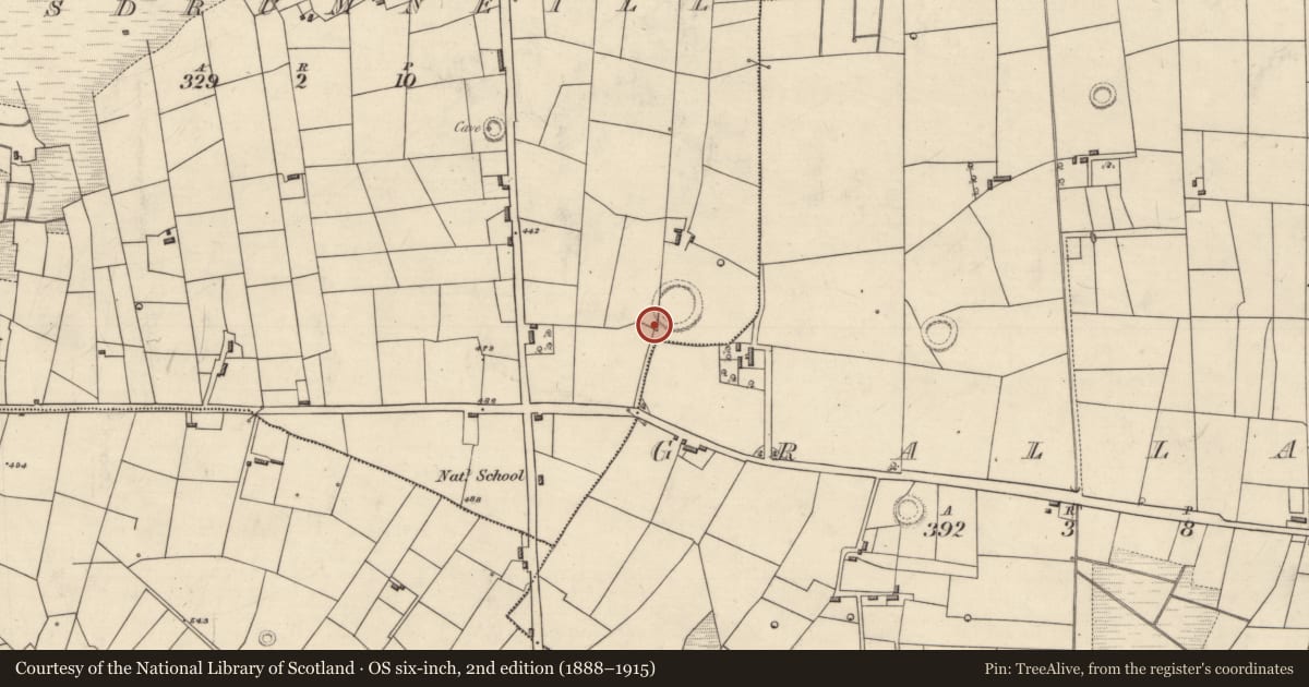 Ordnance Survey six-inch map, 2nd edition (1888–1915) covering the location of Souterrain, Lisdrumneill, County Roscommon, with a pin at the register's coordinates