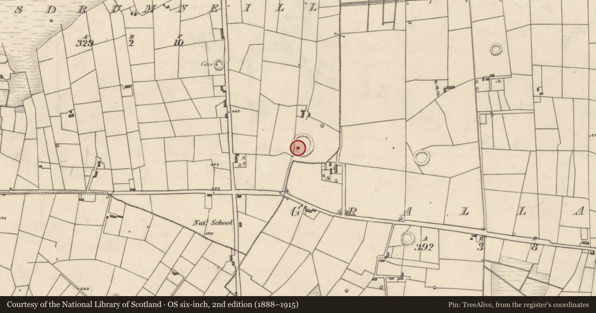 Ordnance Survey six-inch map, 2nd edition (1888–1915) covering the location of Hut site, Lisdrumneill, County Roscommon, with a pin at the register's coordinates