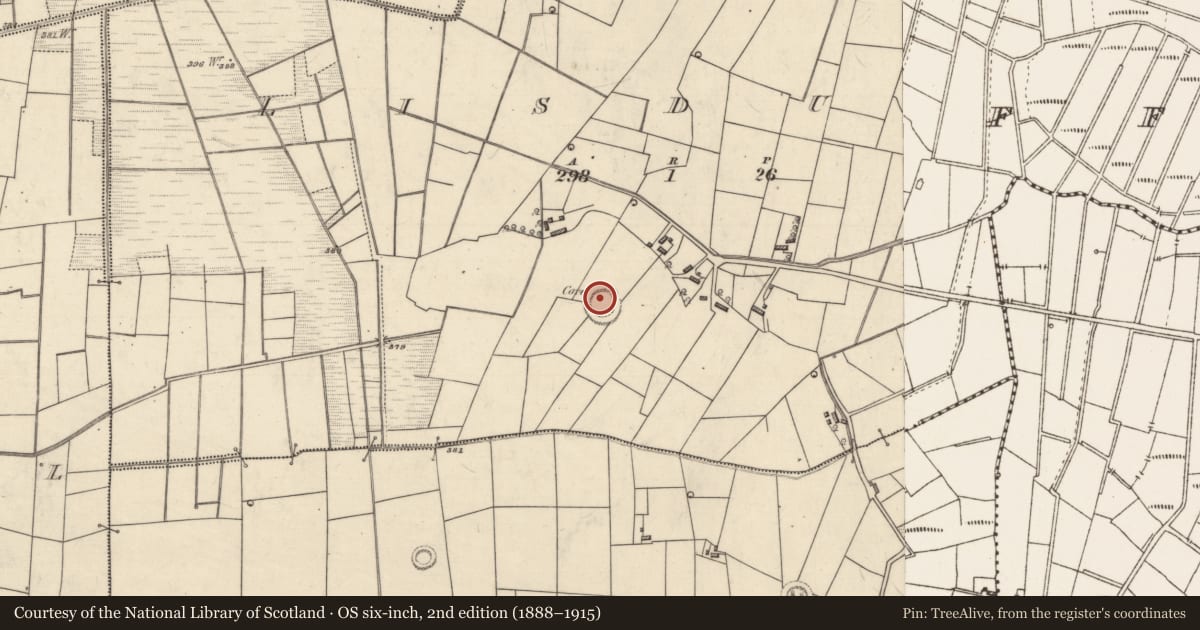 Ordnance Survey six-inch map, 2nd edition (1888–1915) covering the location of Ringfort - rath, Lisduff, County Roscommon, with a pin at the register's coordinates