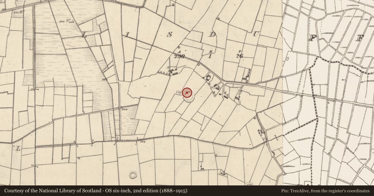 Ordnance Survey six-inch map, 2nd edition (1888–1915) covering the location of Souterrain, Lisduff, County Roscommon, with a pin at the register's coordinates