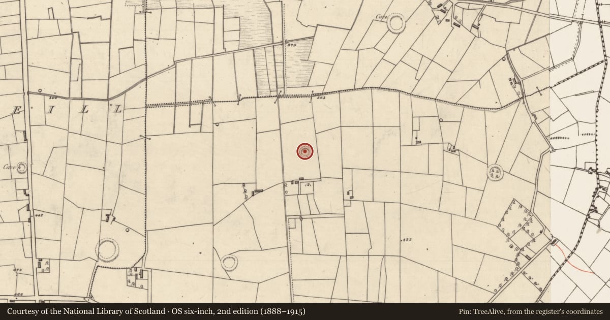 Ordnance Survey six-inch map, 2nd edition (1888–1915) covering the location of Ringfort - cashel, Grallagh, County Roscommon, with a pin at the register's coordinates