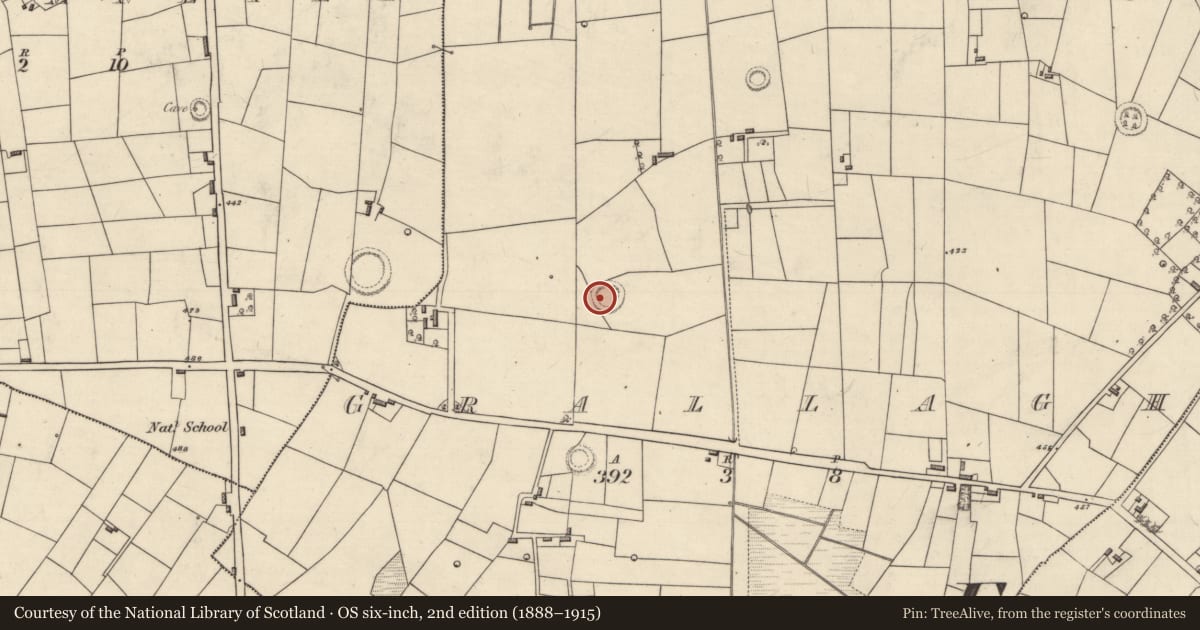Ordnance Survey six-inch map, 2nd edition (1888–1915) covering the location of Ringfort - rath, Grallagh, County Roscommon, with a pin at the register's coordinates