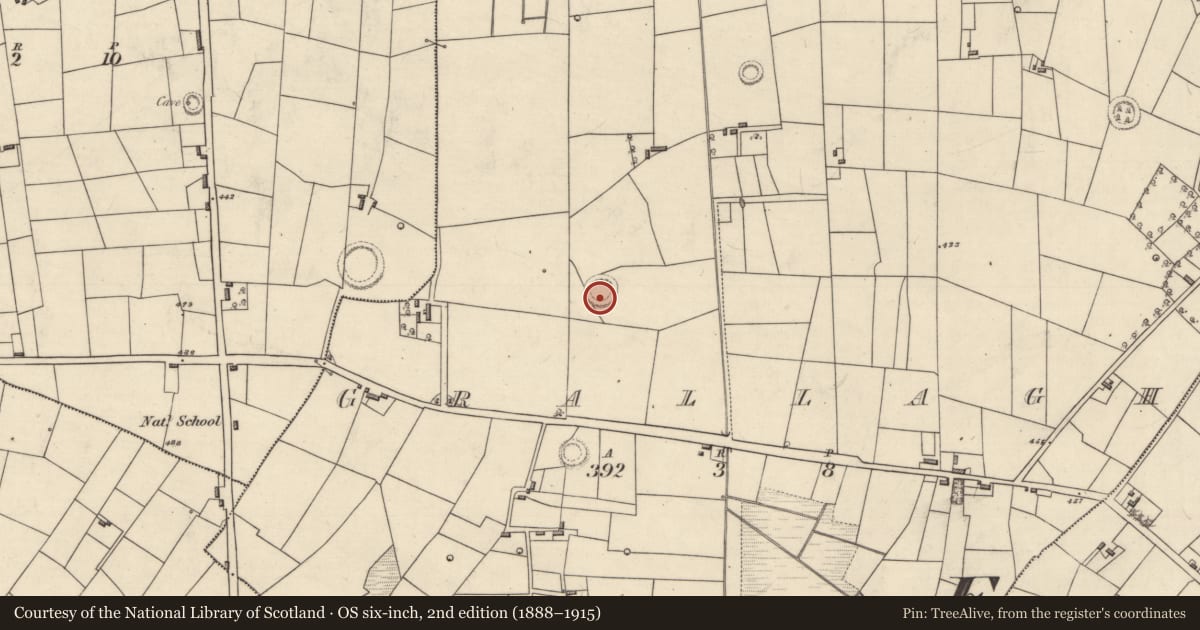 Ordnance Survey six-inch map, 2nd edition (1888–1915) covering the location of Cairn - clearance cairn, Grallagh, County Roscommon, with a pin at the register's coordinates